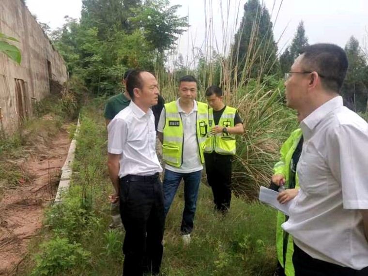 川西公司党委副书记、总经理何雁带队到资潼高速公路开展汛期道路桥梁安全检查工作_副本.jpg