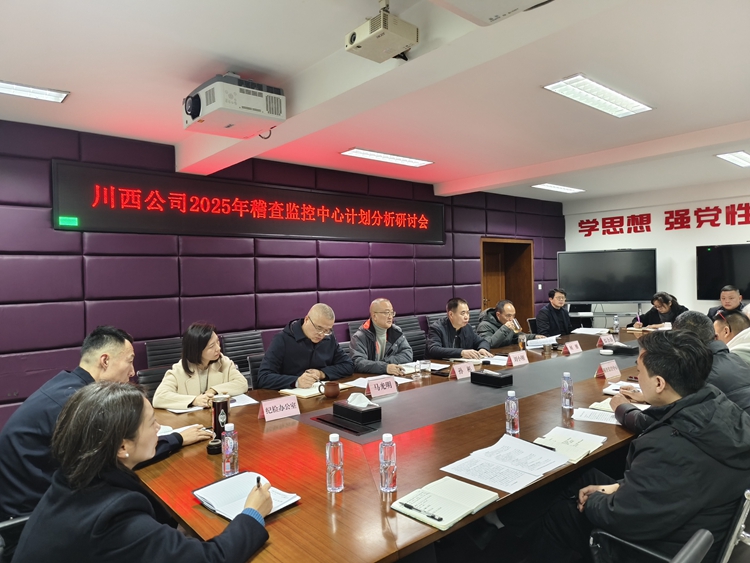 20250110 川西公司组织召开2025年稽查监控中心计划分析研讨会  (1)_副本.jpg