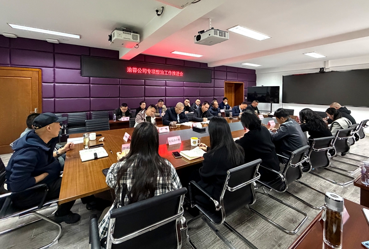 20260316渝蓉公司组织召开专项整治工作推进会_副本.jpg