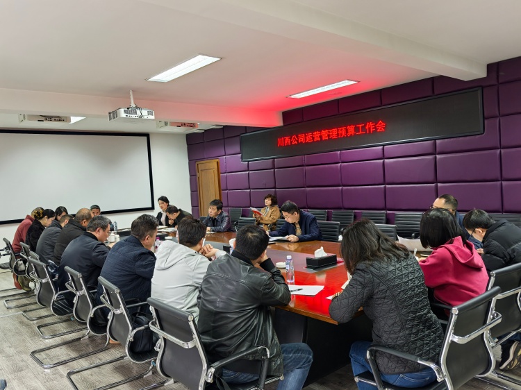 20260319川西公司组织召开运营管理预算工作会（1）_副本.jpg